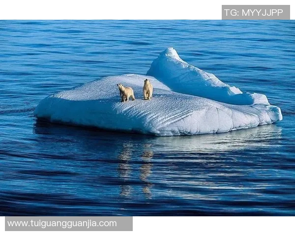 亚马尔地区地理环境与人类活动对气候变化的影响研究